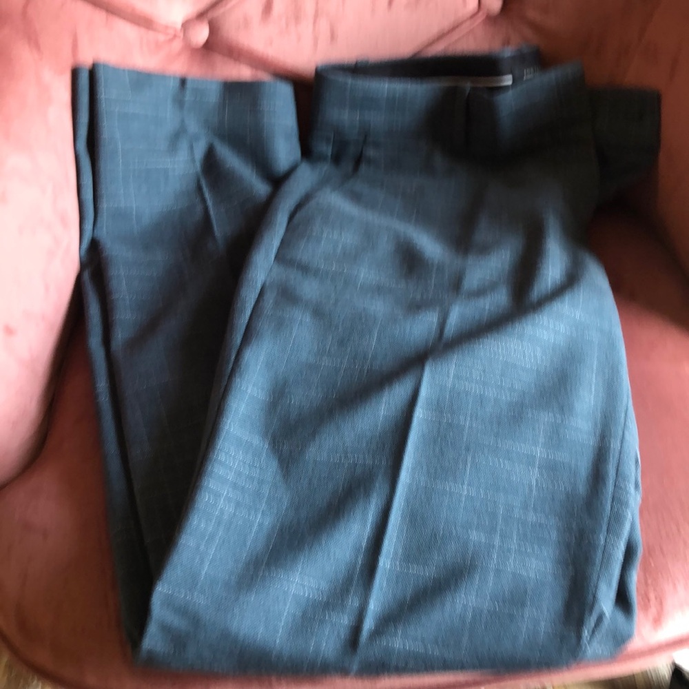 Ann Taytor dress pants, straight leg,size 2, inseam 30.5 . Never worn